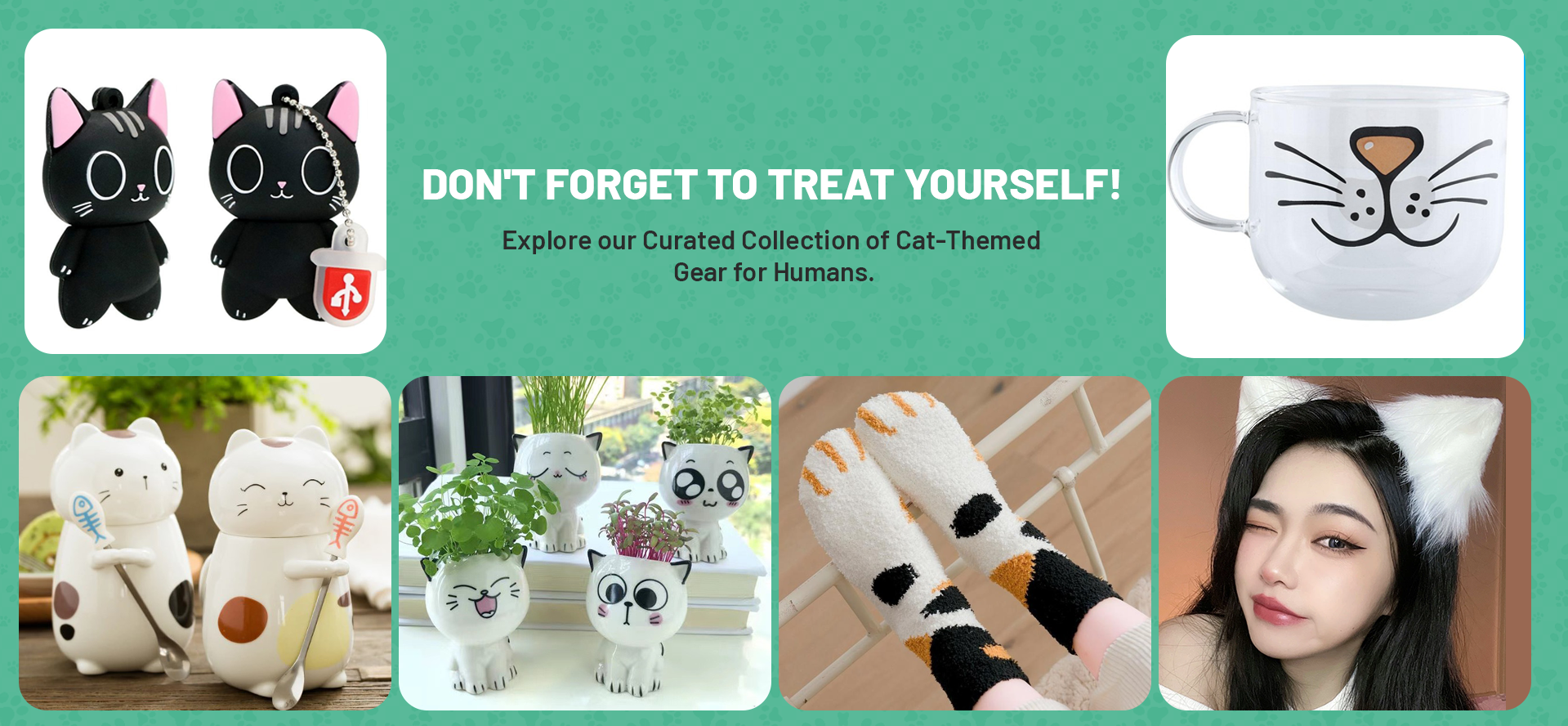 https://theculturedcat.com/wp-content/uploads/2022/06/human-accessories-treat-yourself.png